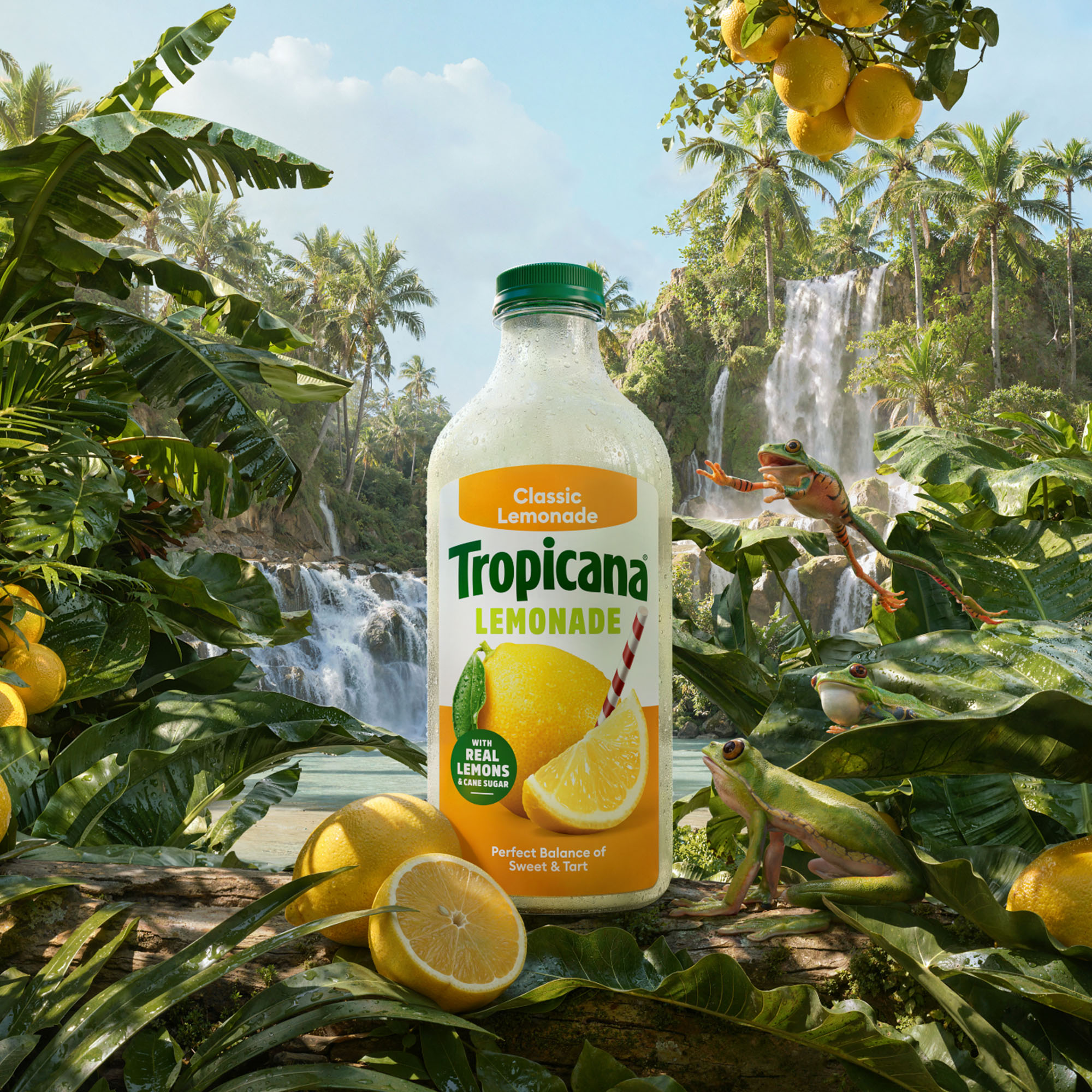 Tropicana